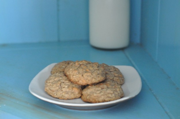 Oatmeal Scotchies