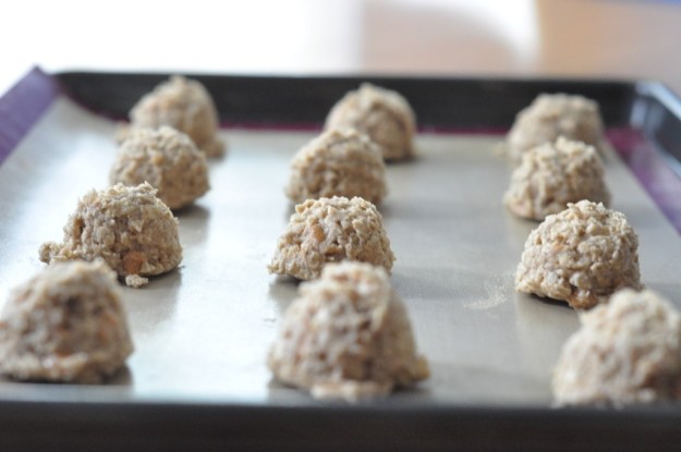 Oatmeal Scotchies
