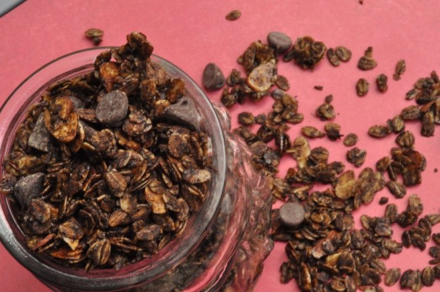 DarkChocolateGingerbreadGranola3.jpg