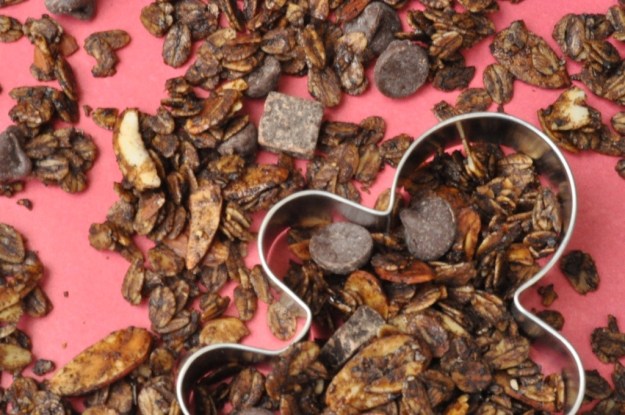 DarkChocolateGingerbreadGranola4.jpg