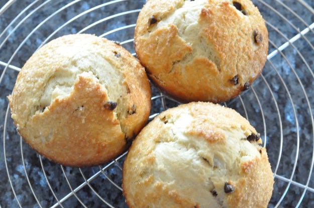 Chocolate Brioche Rolls