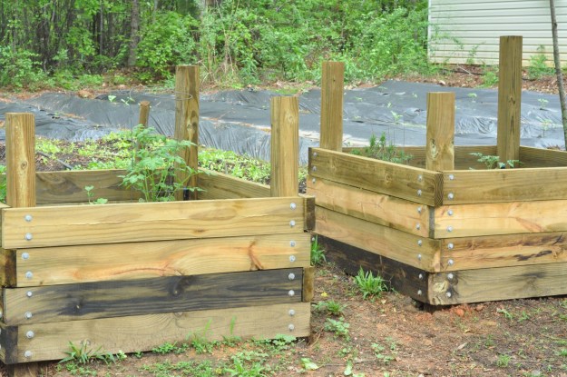 Raised beds