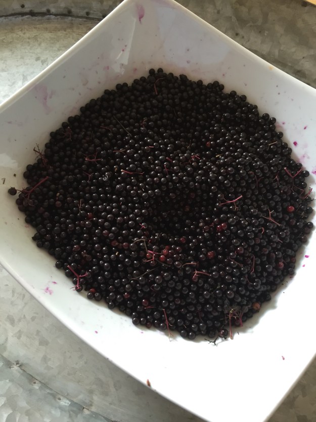 Elderberries